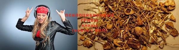 кокс Армянск